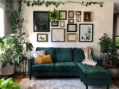 a living room filled with lots of plants and pictures on the wall above the couch