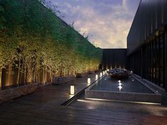 an outdoor area with lights and water features in the night time, along with bamboo trees