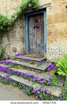 an old stone house with purple flowers growing on the steps and green plants around it