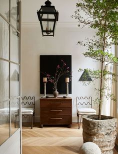 a living room with white walls and wood flooring next to a potted plant