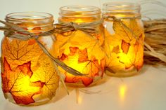 three jars filled with leaves sitting on top of a table