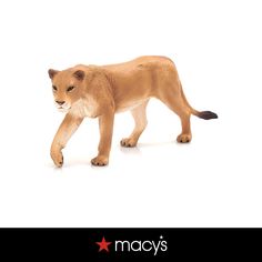 a small toy lion walking across a white background with the words macy's on it