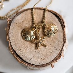 A sweet collection of beach treasures, this pretty necklace features a gold filled starfish, sand dollar, and seashell on a sparkly gold filled diamond cut ball chain. A lobster clasp closure and extender chain means you can wear it between 16" & 18" length. Gold filled charms & chain Sparkly gold chain is lightweight and feminine 16" chain length + 2" chain extender and lobster clasp closure Nickel and lead free Gift ready! Gold Ocean-inspired Jewelry With Dangling Charms, Ocean-inspired Gold Jewelry With Dangling Charms, Ocean-inspired Gold Jewelry With Starfish Charm, Adjustable Gold Ocean-inspired Charm Necklace, Gold Shell Necklace With Starfish Charm For Beach, Gold Starfish Shell Necklace With Starfish Charm, Yellow Gold Starfish Charm Necklace For Beach, Gold Star Charm Necklace For Beach, Gold Shell Necklace With Starfish Charm