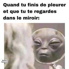 an alien looking at its reflection in a mirror with the caption'quand tu finis de pleurer et que tu