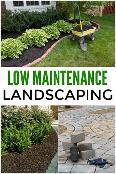 the cover of low maintenance landscaping