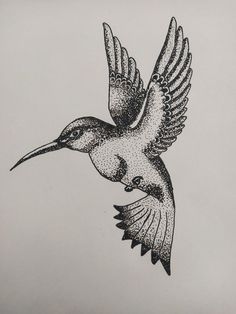 a black and white drawing of a hummingbird flying in the air with its wings spread