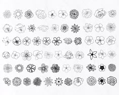 a bunch of flowers that are drawn in black and white