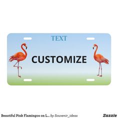 two flamingos are standing next to each other on a license plate that says text customize