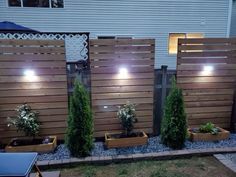 some plants and lights are in the middle of a fenced area with wood slats