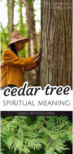 a woman in yellow jacket and hat standing next to a tree with the words cedar tree spirit