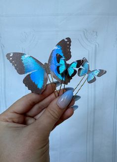 a woman's hand holding three blue butterflies on top of each other in front of a white wall