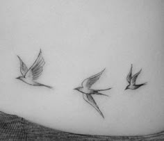 three small birds flying in the air above a woman's stomach, with one on her left side