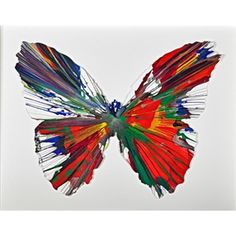 a multicolored butterfly is shown on a white background with the image in full color