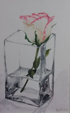 a drawing of a single rose in a glass vase with ice cubes on the side