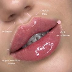 Gorgeous Lip Anatomy When positioned in the subdermal fat or muscular tissue, hyaluronic acid will act as a filler, shaping or plumping' the tissue. . . . #russianlip #russianlipslondon Lip Filler Shape Ideas Black Women, Lip Fillers 2ml, Lip Filler Cupids Bow, Lip Fillers Inspiration, Botox Lip Flip, Lip Filler Quotes Sayings, Lip Anatomy, Diy Lip Filler, Lips Fillers Shapes