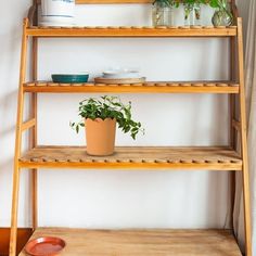 a wooden shelf with some plants on top of it next to a potted plant