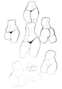 a drawing of different shapes and sizes of the torso, head, arm, and leg