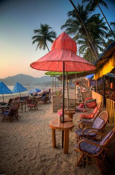 there are many chairs and umbrellas on the beach by the water with palm trees in the background