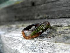 Juniper bark ring Nature forest ring Men women wood ring | Etsy Forest Ring, Heather Flower, Bark Ring, Wedding Ring Tattoo, Bentwood Rings, Terrarium Jewelry, Ring Man, Ring Tattoos, Antique Engagement Ring