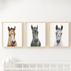 three framed pictures of horses hang above a crib