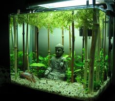 an aquarium filled with plants and a buddha statue