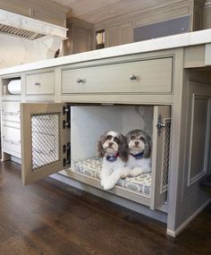 two dogs are sitting in the dog house under the kitchen counter and drawers on the floor