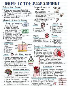 a hand drawn diagram with the words head to toe and an image of what is inside it