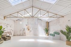 an empty room with two couches and potted plants