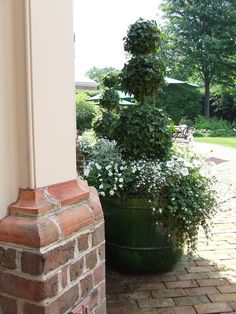 a large potted plant sitting on the side of a brick wall next to a door