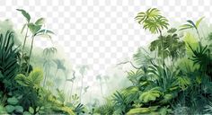 the jungle is full of green plants and trees, hd png