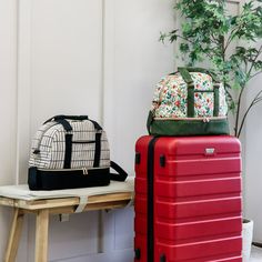 two pieces of luggage sitting next to each other on a wooden bench near a potted plant