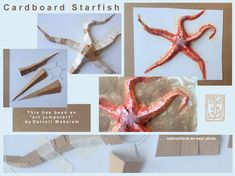 an image of cardboard starfishs and other things to make them look like they are made out of paper