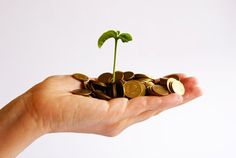 a small plant sprouting out of a pile of coins in someone's hand