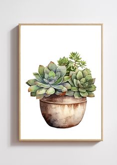 a painting of succulents in a pot on a white wall next to a wooden frame