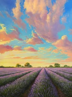 a painting of lavender fields at sunset with clouds in the sky and trees to the side