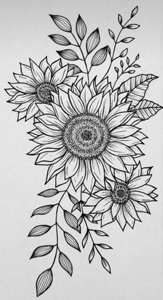 a black and white drawing of a sunflower with leaves on the bottom half of it