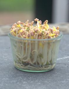 there is noodle noodles in the glass bowl on the concrete table top, ready to be eaten