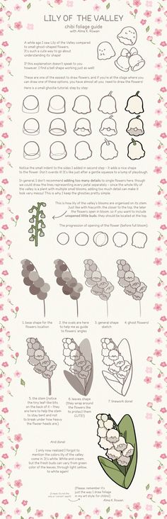 an info sheet with different types of flowers