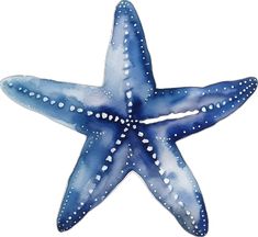 a blue starfish with white dots on it