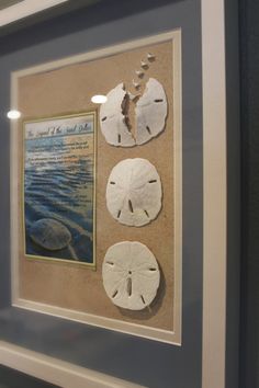 three sand dollars are hanging on the wall in front of a framed photo with an ocean theme