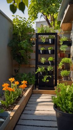 an outdoor garden area with potted plants and flowers on the side of the building