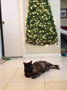 a cat laying on the floor in front of a christmas tree that is lit up