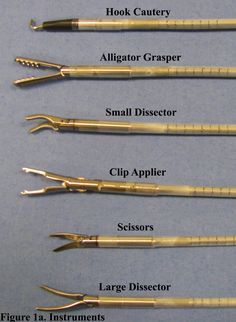 four different types of dental instruments on a table