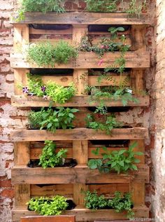 a wooden pallet filled with lots of plants