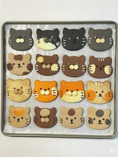 there are many decorated cookies in the shape of cats and kittens on this cookie sheet