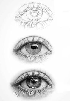 three different types of eyes are shown in this drawing