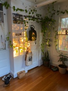 a room filled with lots of plants next to a wall covered in pictures and lights