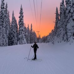 a man riding skis down a snow covered slope next to tall pine tree's