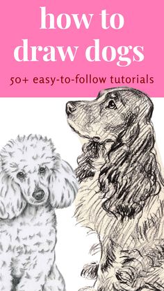 how to draw dogs for beginners with the title'how to draw dogs '