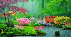 Create Zen in Your Backyard With the Best Shrubs & Trees for a Japanese Garden Flower Fertilizer, The Hague Netherlands, Small Bridge, Peel And Stick Wall Mural